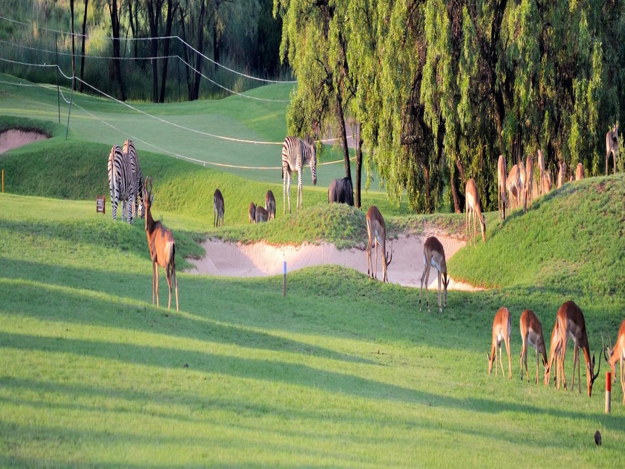 Elements Private Golf Reserve Villa Bela-Bela Kültér fotó